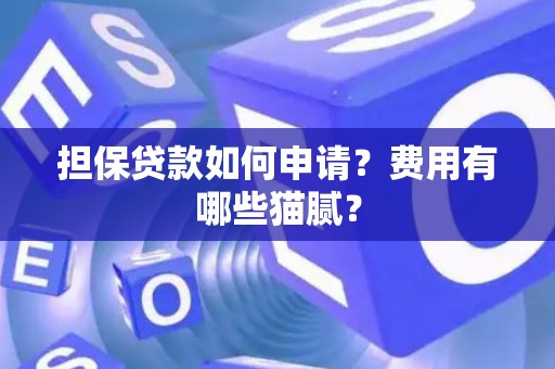 担保贷款如何申请？费用有哪些猫腻？
